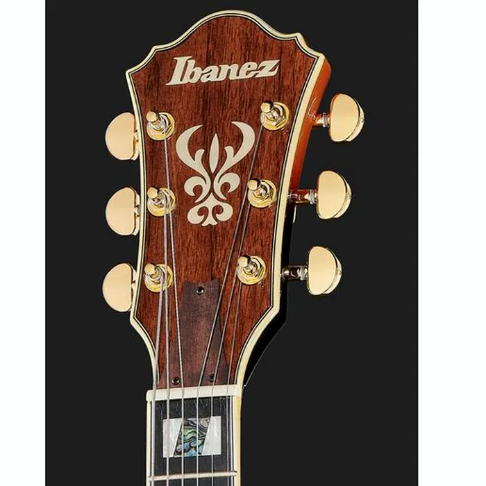 Ibanez AS113-BS – photo 8