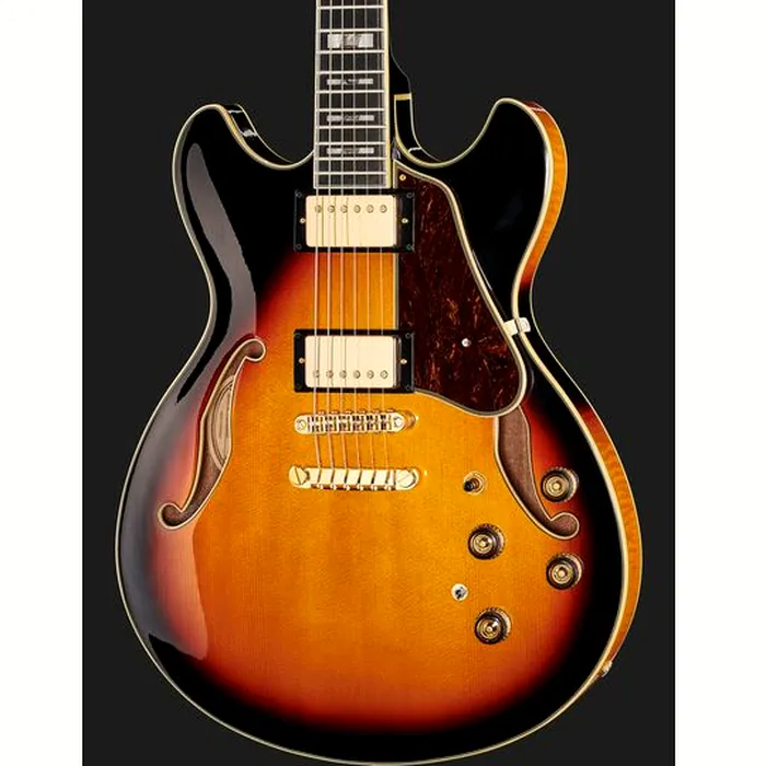 Ibanez AS113-BS – photo 6