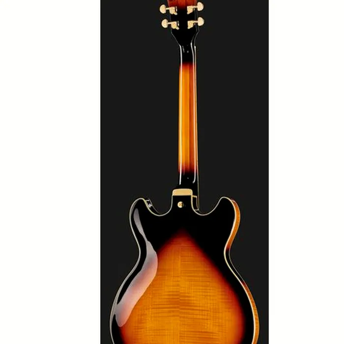 Ibanez AS113-BS – photo 5