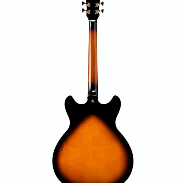Ibanez AS2000-BS – photo 5
