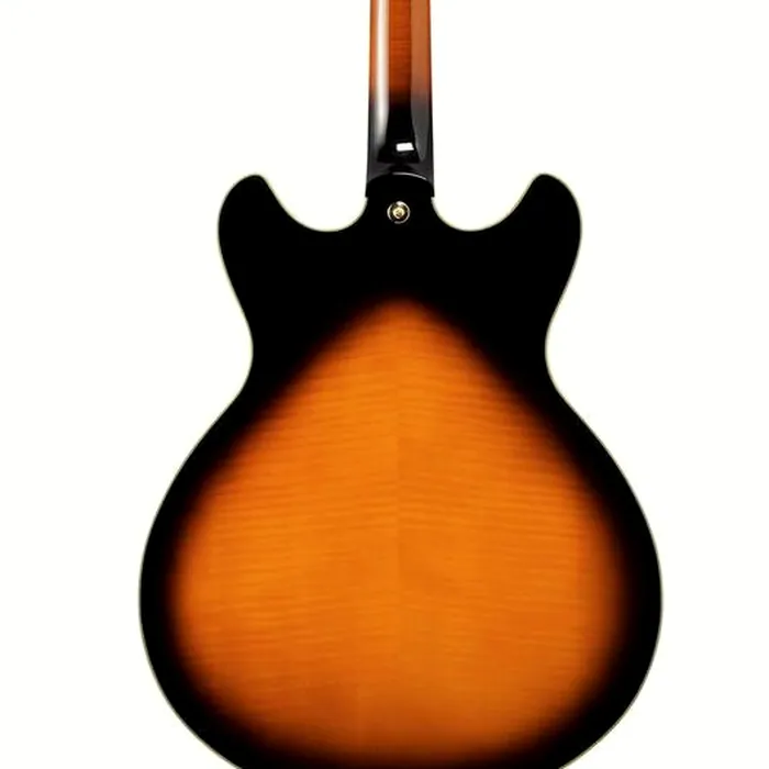 Ibanez AS2000-BS – photo 7