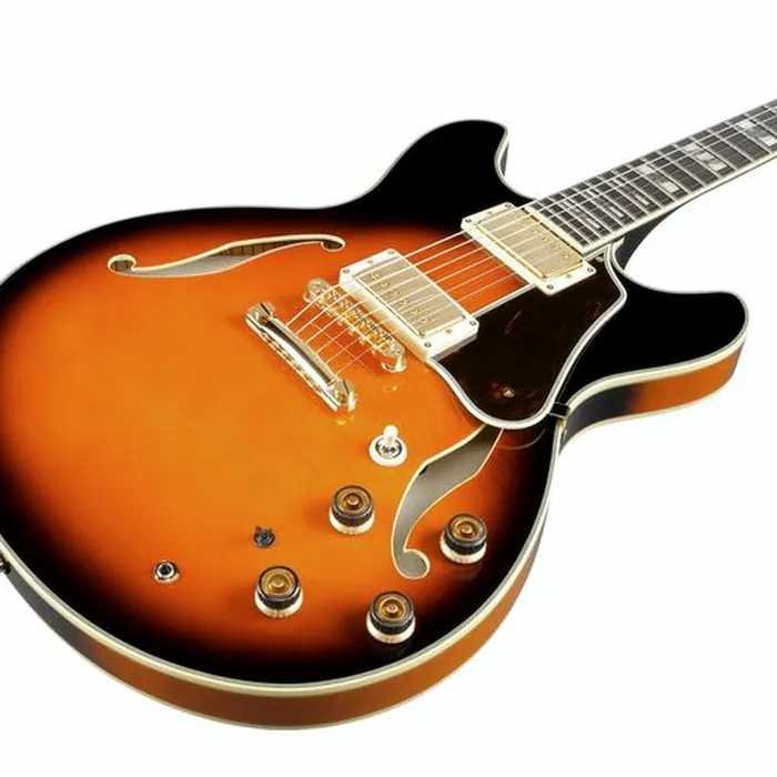 Ibanez AS2000-BS – photo 9