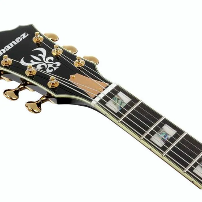 Ibanez AS2000-BS – photo 10