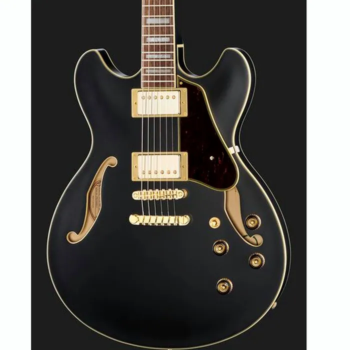 Ibanez AS73 G BKF – photo 6