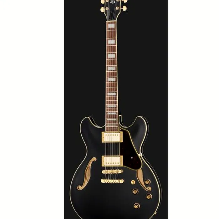Ibanez AS73 G BKF – photo 4