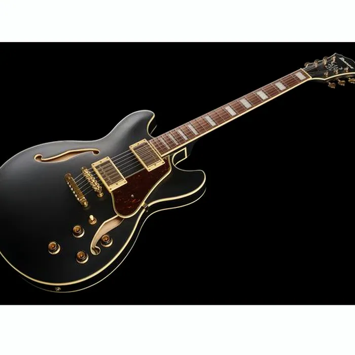 Ibanez AS73 G BKF – photo 11