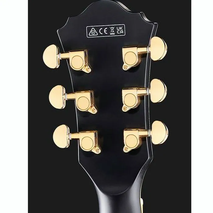 Ibanez AS73 G BKF – photo 8