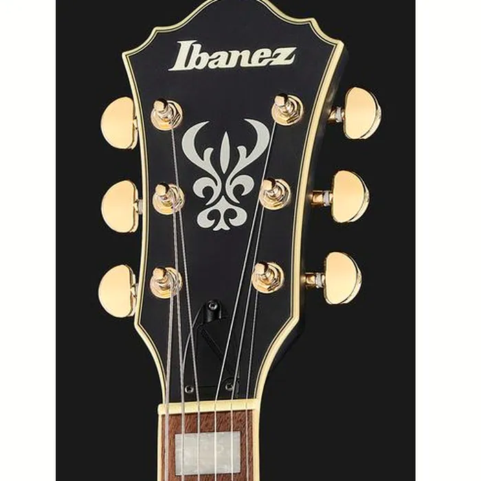 Ibanez AS73 G BKF – photo 9