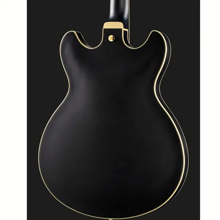 Ibanez AS73 G BKF – photo 7