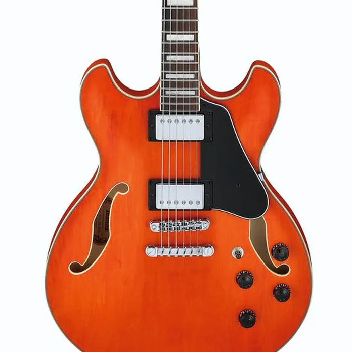 Ibanez AS73-TTF – photo 6