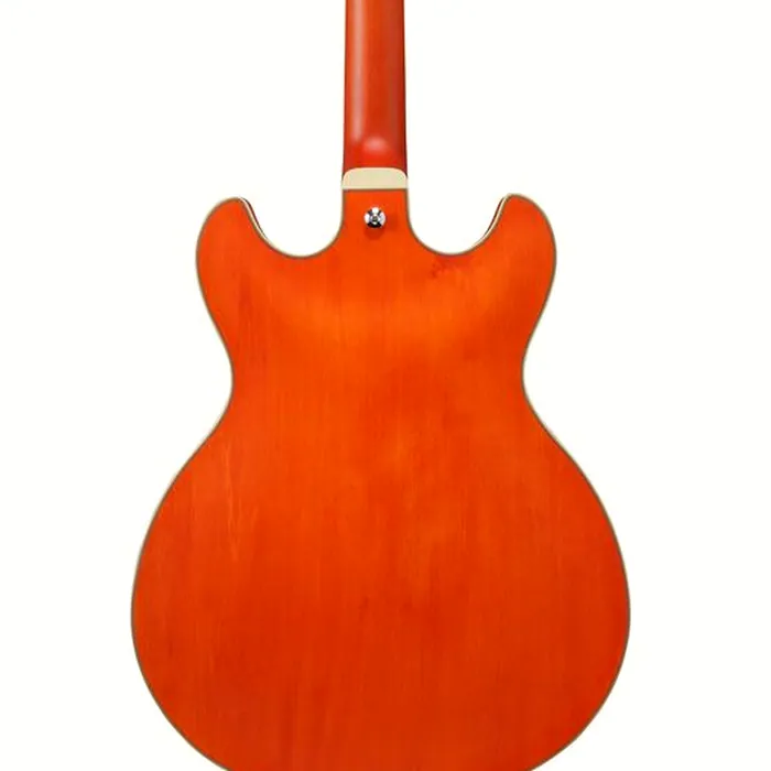 Ibanez AS73-TTF – photo 7