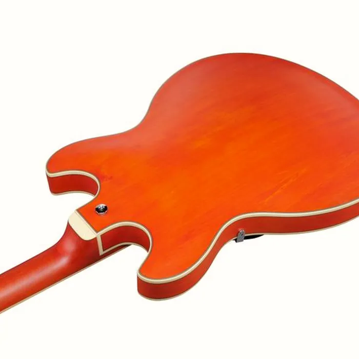 Ibanez AS73-TTF – photo 10