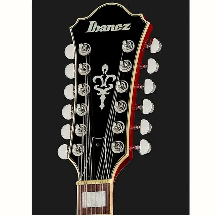 Ibanez AS7312-TCD – photo 8