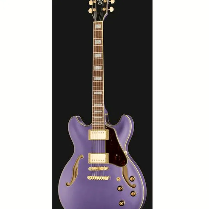 Ibanez AS73G-MPF – photo 4