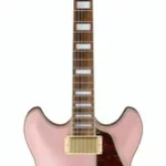 La guitare électrique Ibanez AS73G-RGF B-Stock | Test, Avis & Comparatif