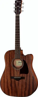 Ibanez AW54CE-OPN