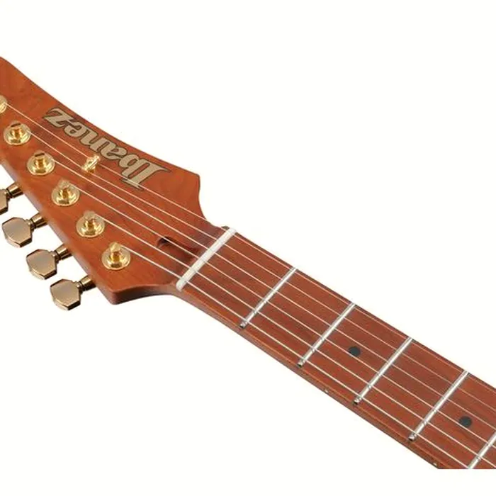 Ibanez AZ2204AG-TGB – photo 10