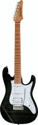 Ibanez AZ224F-BI