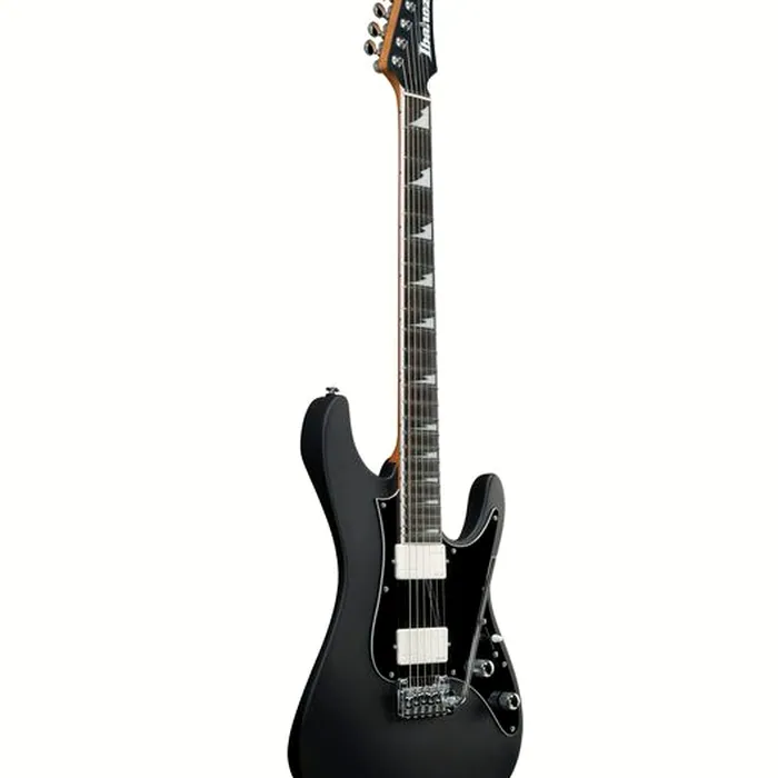 Ibanez BER10 Bernth Signature BK – photo 4