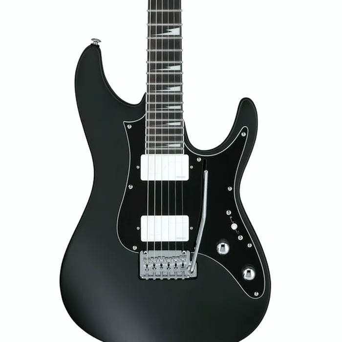Ibanez BER10 Bernth Signature BK – photo 6