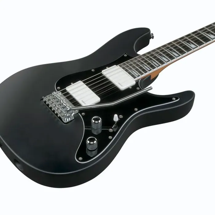 Ibanez BER10 Bernth Signature BK – photo 8