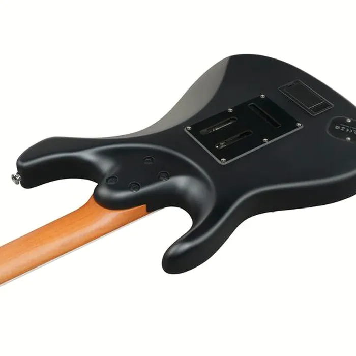 Ibanez BER10 Bernth Signature BK – photo 9
