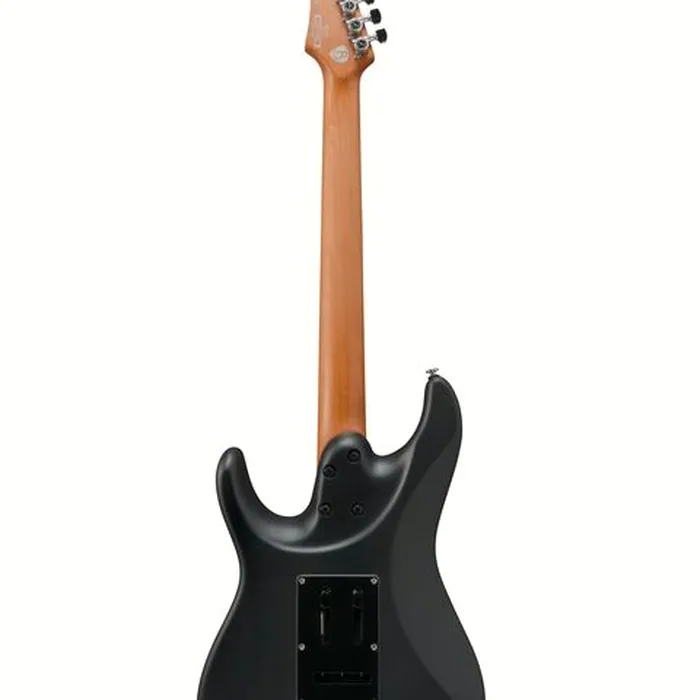 Ibanez BER10 Bernth Signature BK – photo 5