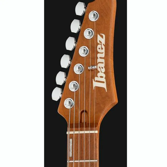 Ibanez EH10 TGM – photo 8