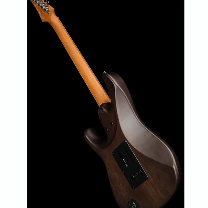 Ibanez EH10 TGM – photo 11