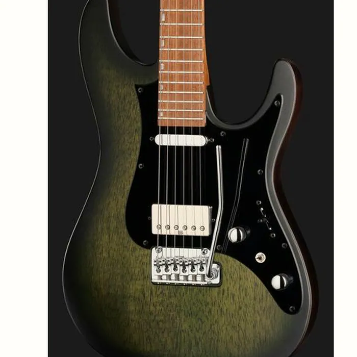 Ibanez EH10 TGM – photo 6