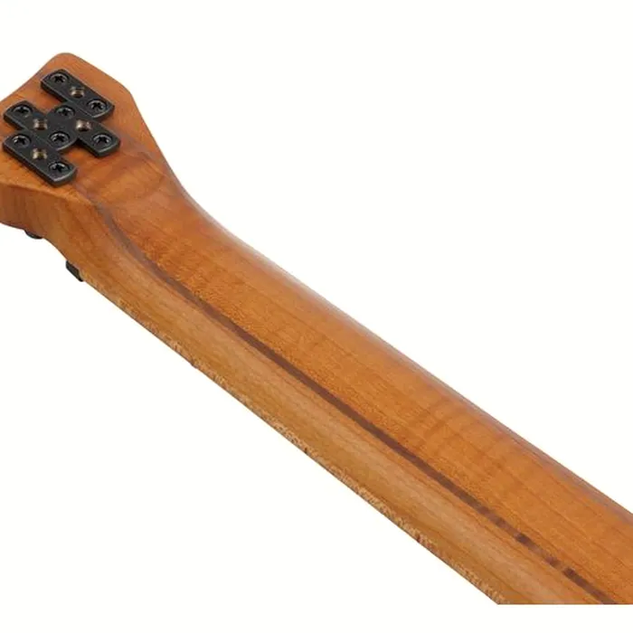 Ibanez EHB1000-AOM – photo 9