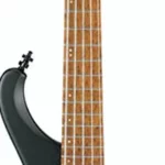 La basse électrique Ibanez EHB1005-BKF | Test et Avis | E.G.L