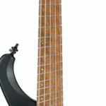 La basse électrique Ibanez EHB1005MS-BKF | Test et Avis | E.G.L