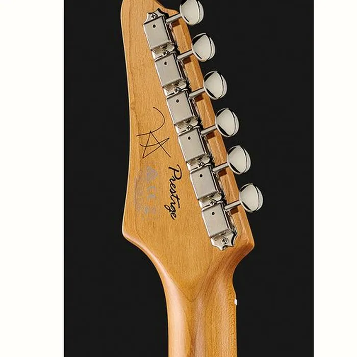Ibanez FLATV1-BK Josh Smith – photo 9