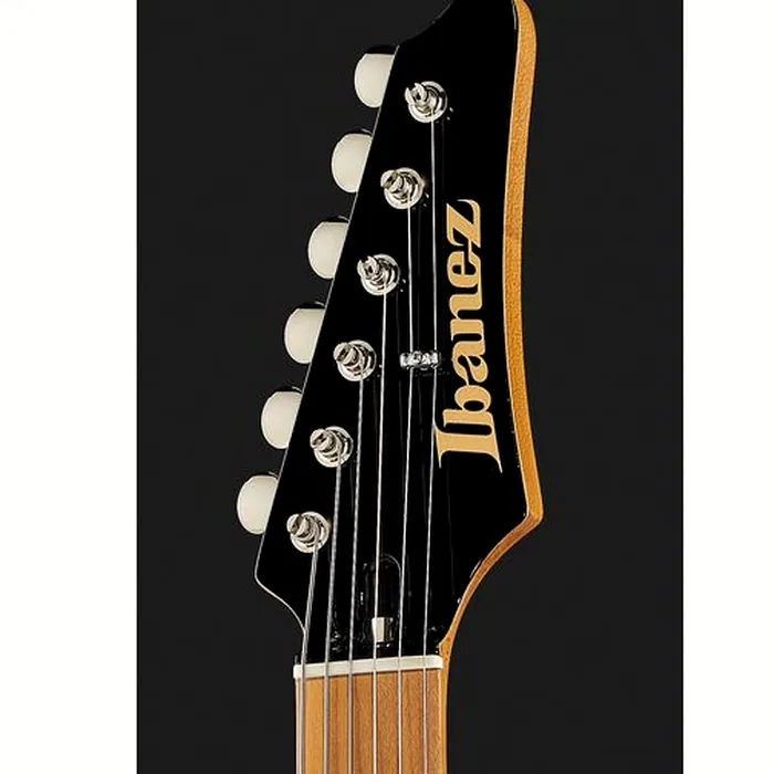 Ibanez FLATV1-BK Josh Smith – photo 8