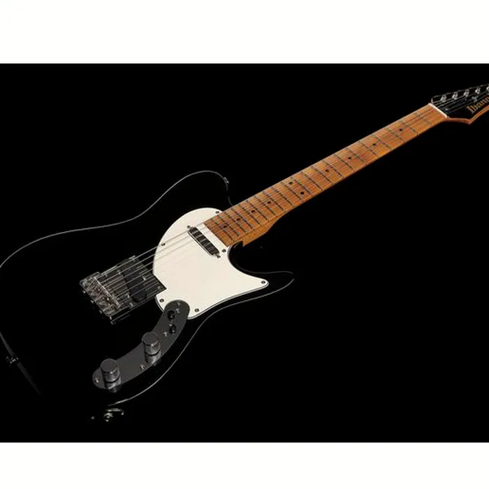 Ibanez FLATV1-BK Josh Smith – photo 11