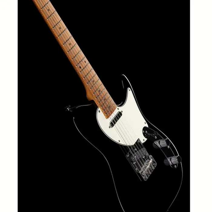 Ibanez FLATV1-BK Josh Smith – photo 12