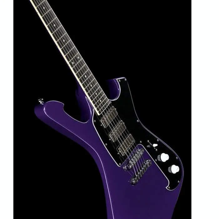 Ibanez FRM300-PR Paul Gilbert – photo 12
