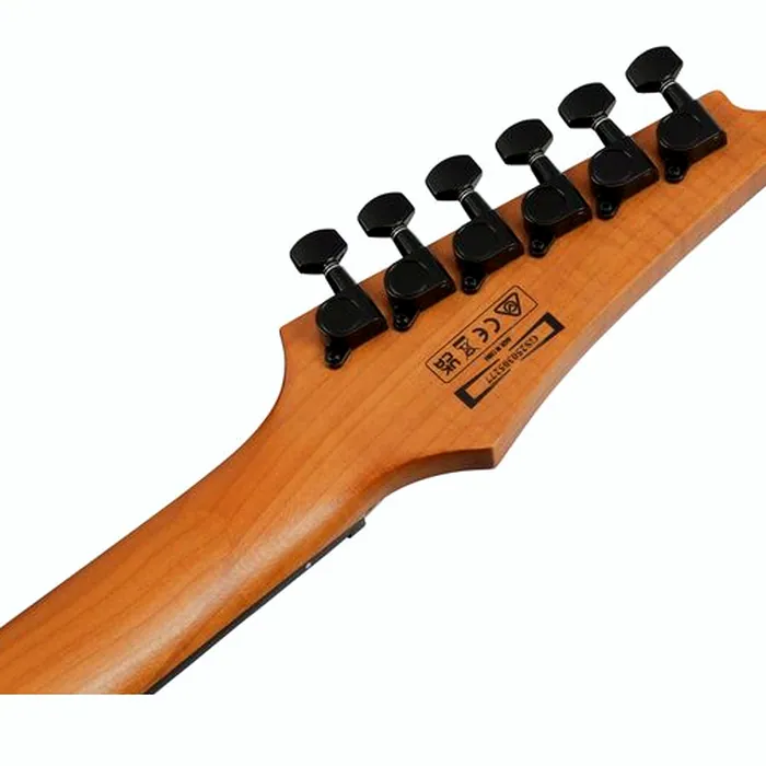 Ibanez GRGR221FA-TDK – photo 11
