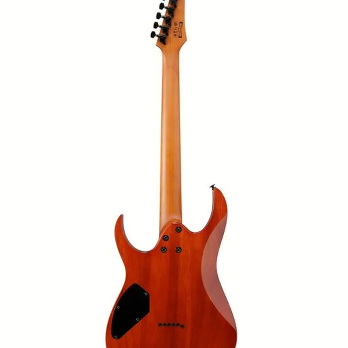 Ibanez GRGR221FA-TDK – photo 4
