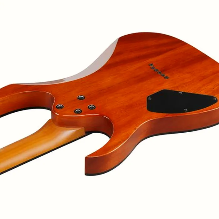 Ibanez GRGR221FA-TDK – photo 9