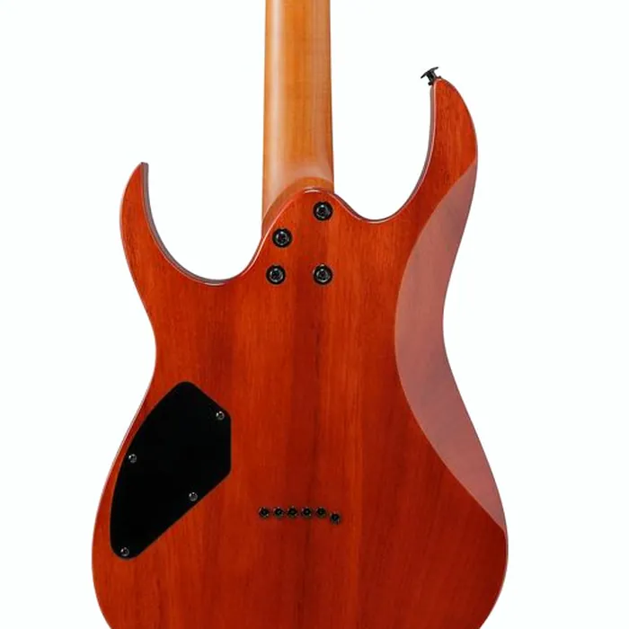 Ibanez GRGR221FA-TDK – photo 7