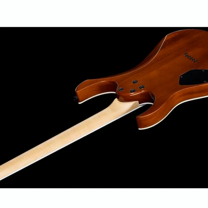 Ibanez GRGR221PA-AQB – photo 10