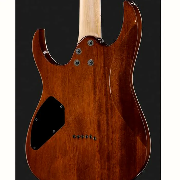 Ibanez GRGR221PA-AQB – photo 7