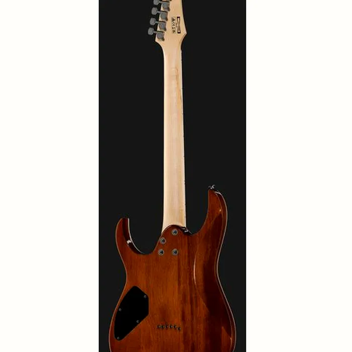 Ibanez GRGR221PA-AQB – photo 5
