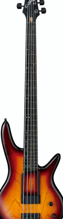 Ibanez GWB205-TQF