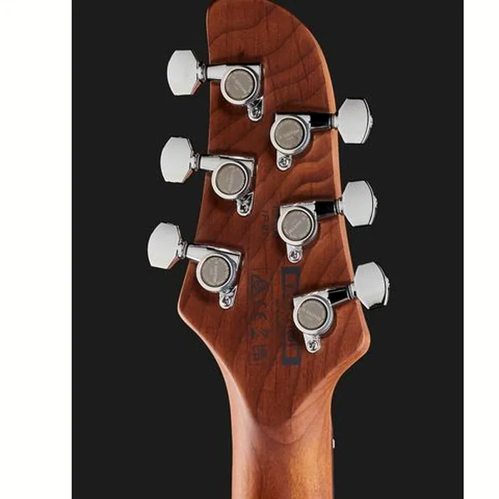 Ibanez ICHI00-VWH – photo 9