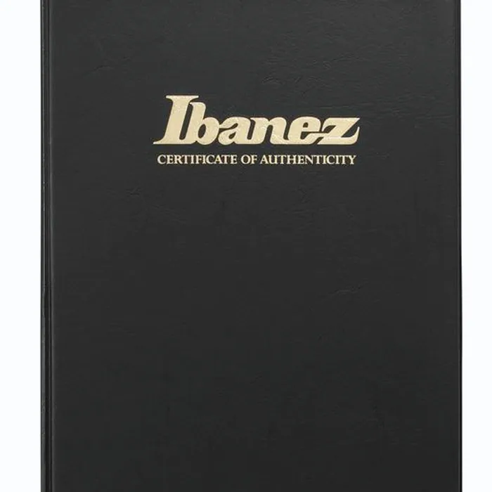 Ibanez IV1RG Visions RG – photo 11