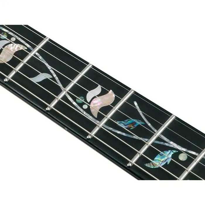 Ibanez IV2RG Visions RG – photo 8