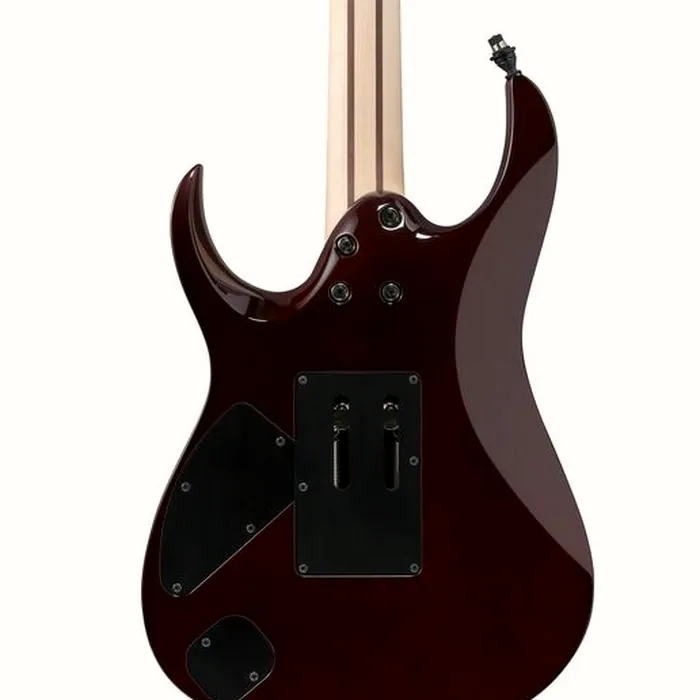 Ibanez j.custom Axe Design RG8870 BSR – photo 7